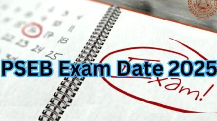 Punjab School Board Class VIII exam: City students bag top