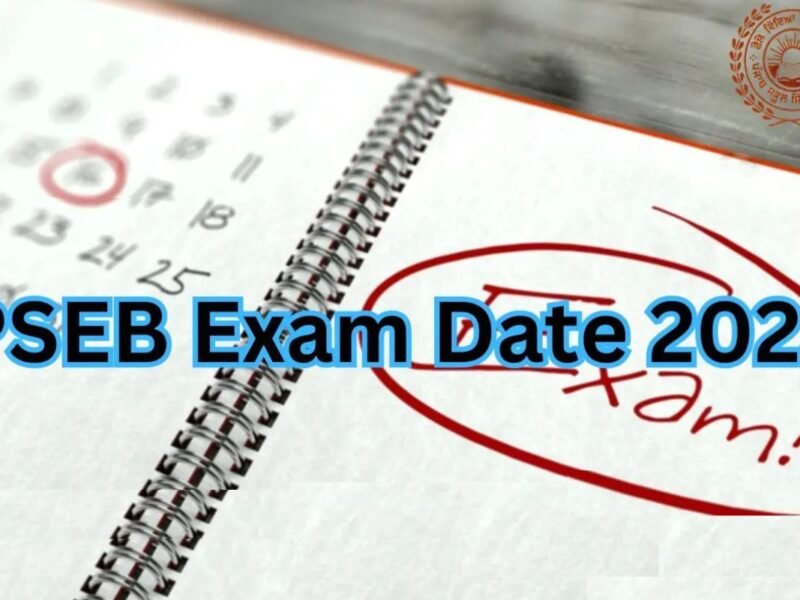 Punjab School Board Class VIII exam: City students bag top