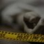 two student suicide